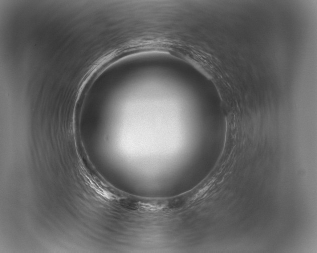 X0000052550148200507081618