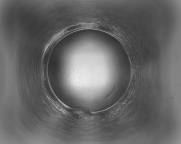 X0000052550149200507081618