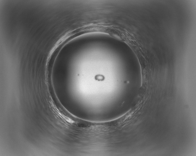 X0000052550150200507081618