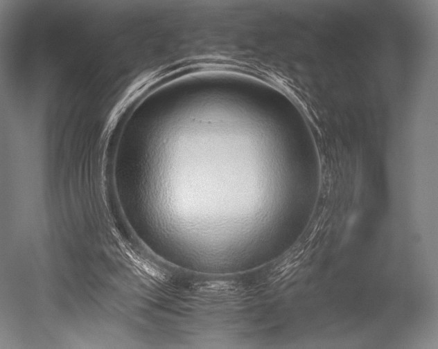 X0000052550151200507081618