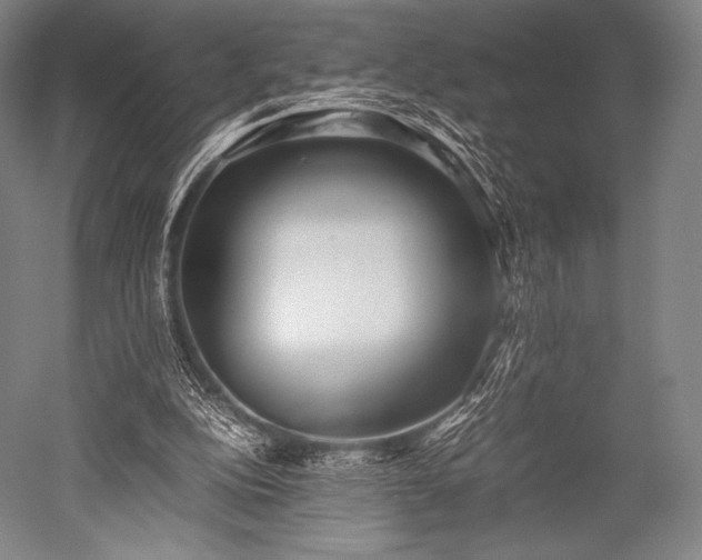 X0000052550152200507081618