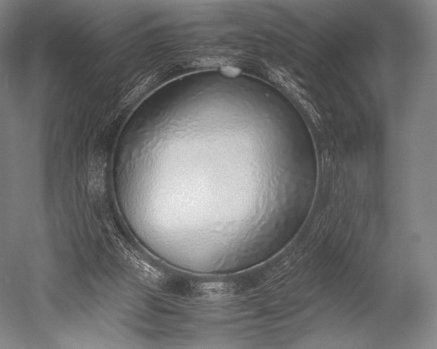 X0000052550153200507081618