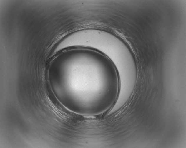 X0000052550154200507081618