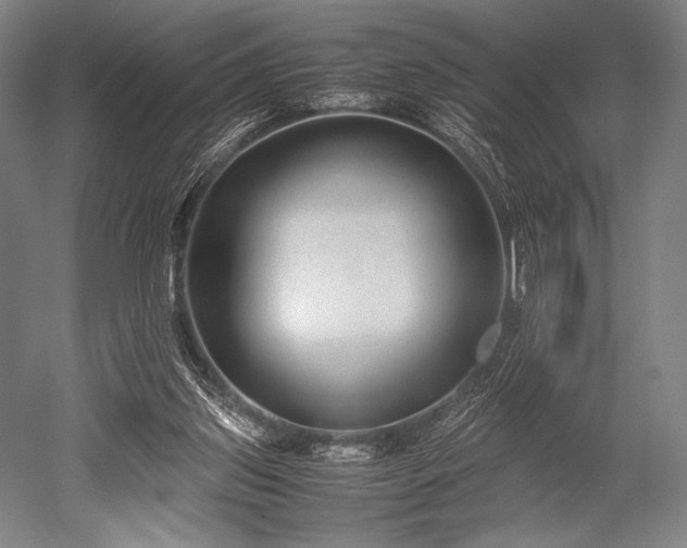 X0000052550157200507081618