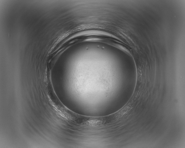 X0000052550158200507081618