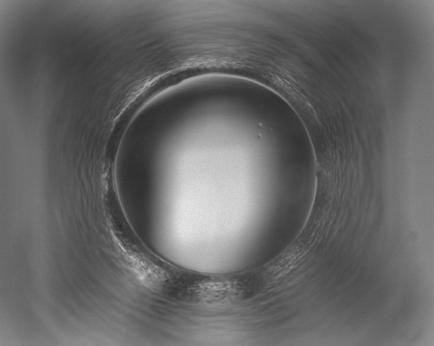 X0000052550160200507081618