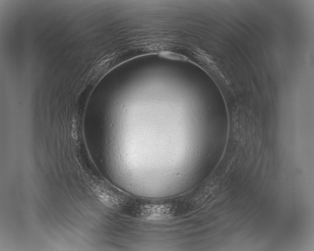 X0000052550161200507081619