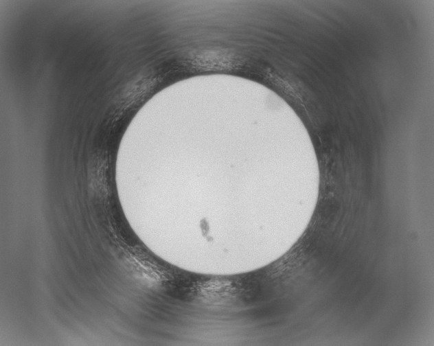 X0000052550162200507081619