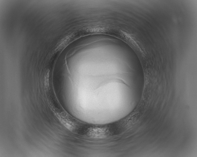 X0000052550163200507081619