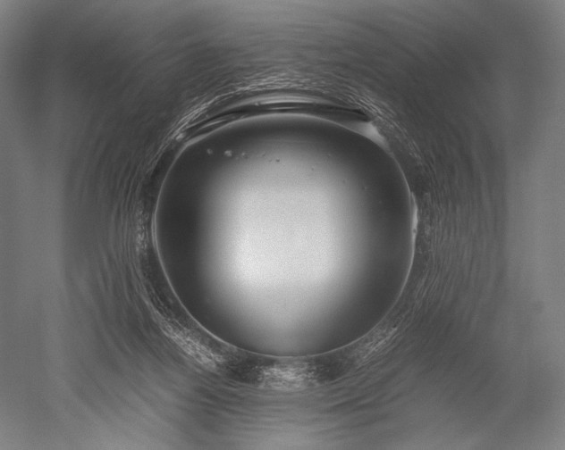 X0000052550164200507081619