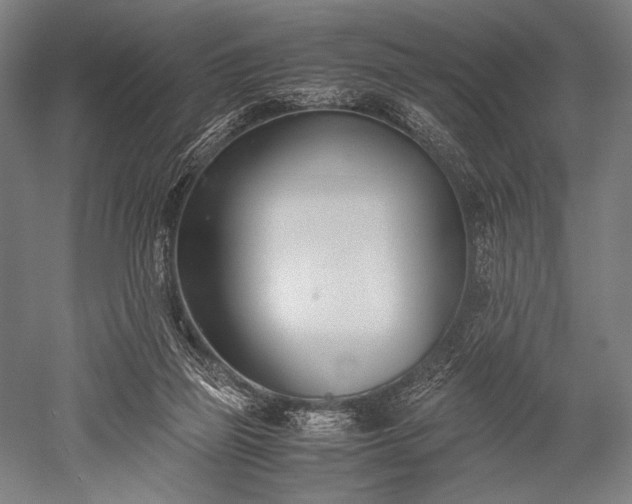 X0000052550165200507081619