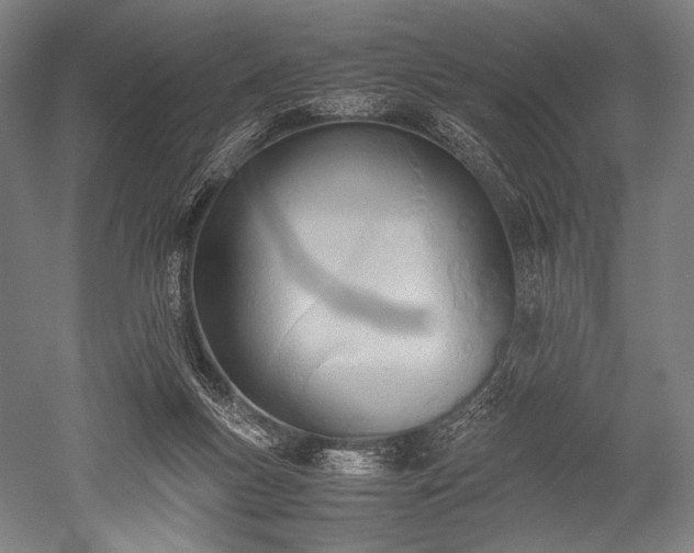 X0000052550167200507081619