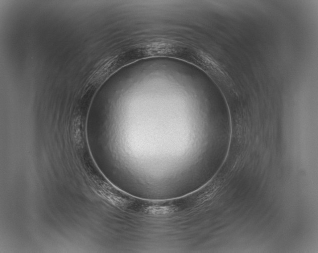 X0000052550169200507081619