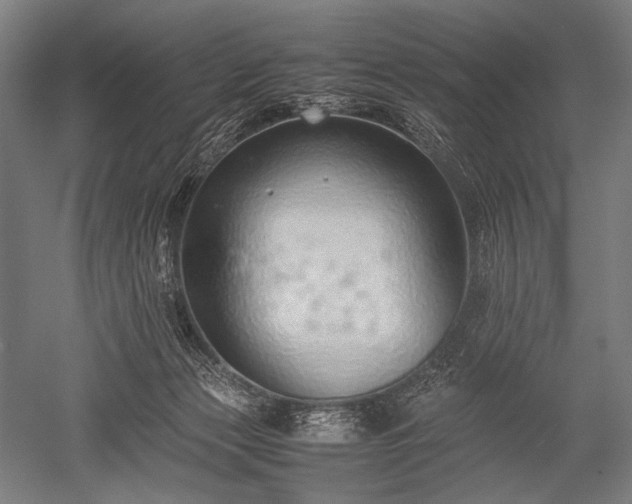 X0000052550173200507081619