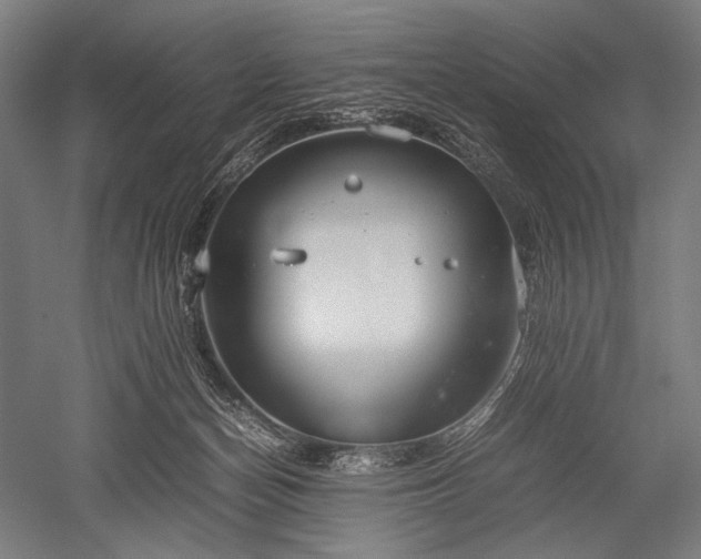 X0000052550174200507081619