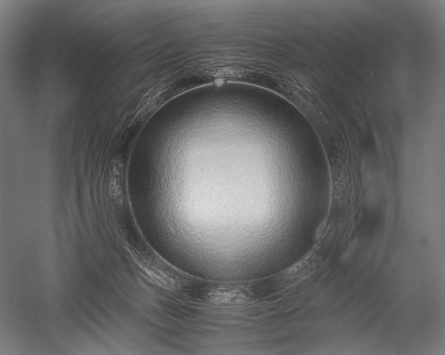 X0000052550175200507081619