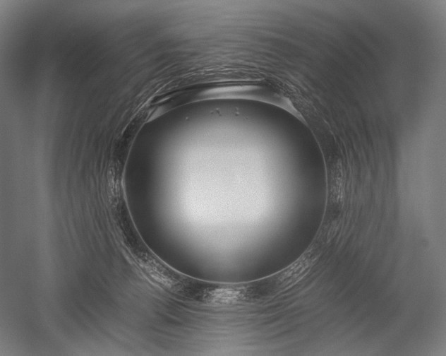 X0000052550176200507081619