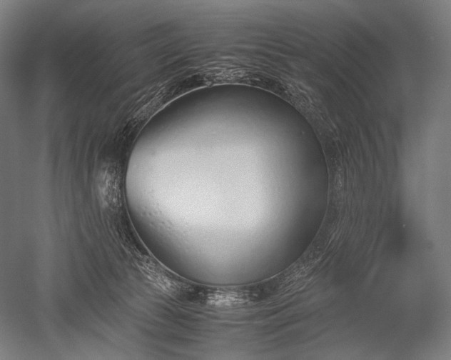 X0000052550177200507081619