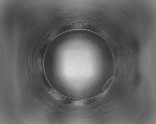 X0000052550178200507081619