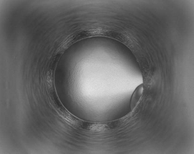 X0000052550179200507081619