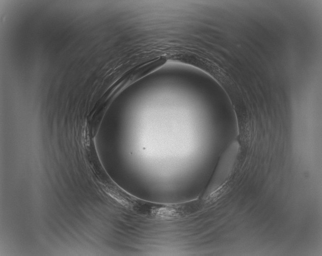 X0000052550180200507081619