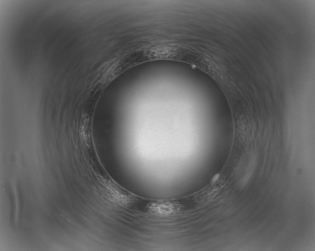 X0000052550181200507081619