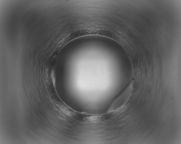 X0000052550184200507081619