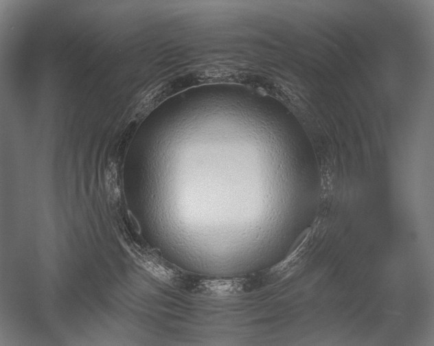 X0000052550187200507081619