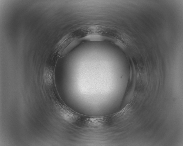 X0000052550188200507081619