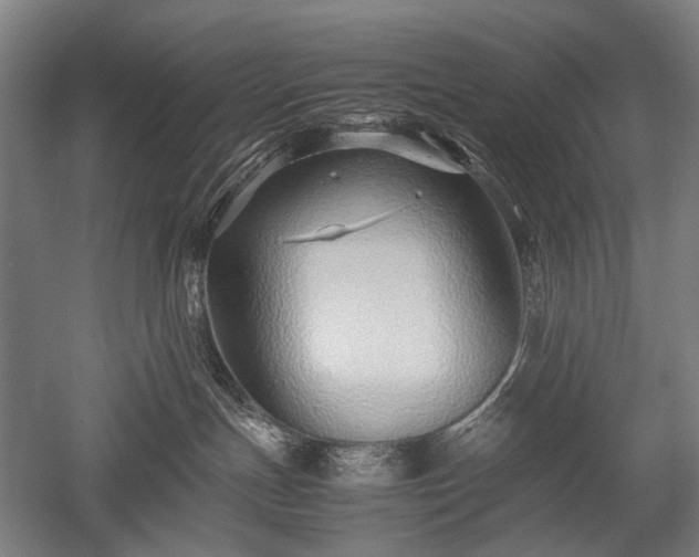 X0000052550191200507081619