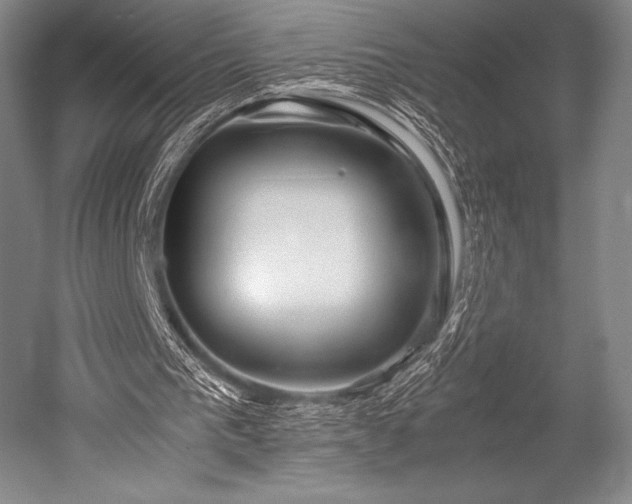 X0000052550193200507081618