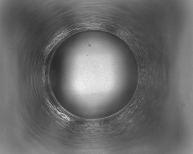 X0000052550194200507081618