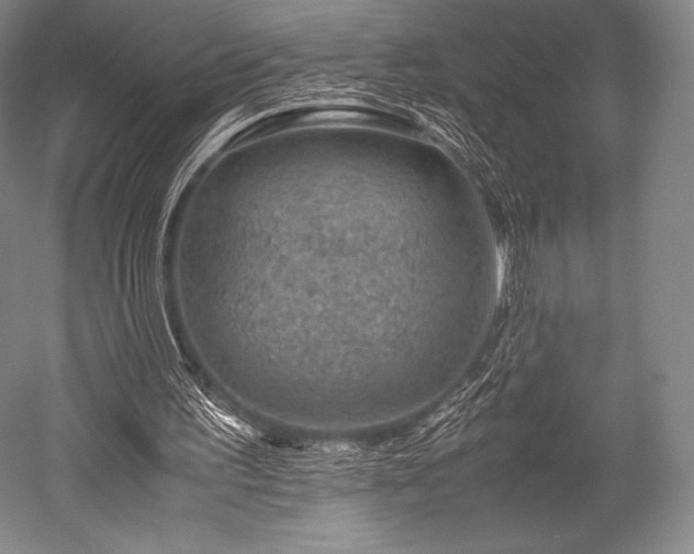 X0000052550195200507081618