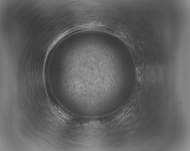 X0000052550196200507081618