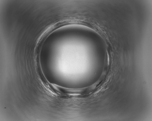 X0000052550197200507081618