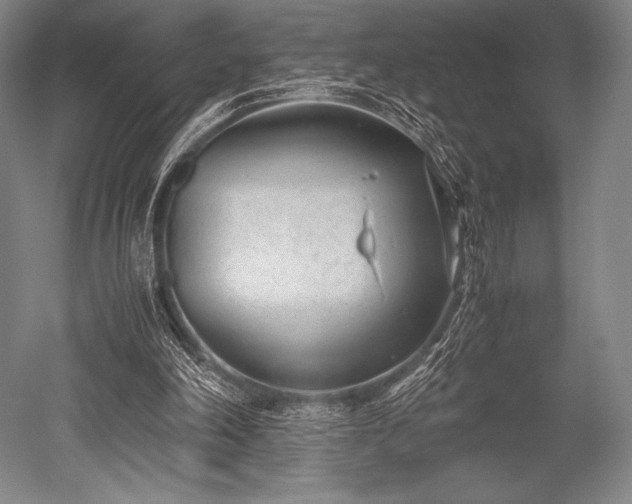 X0000052550198200507081618