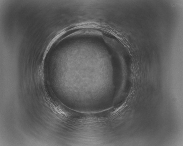 X0000052550200200507081618