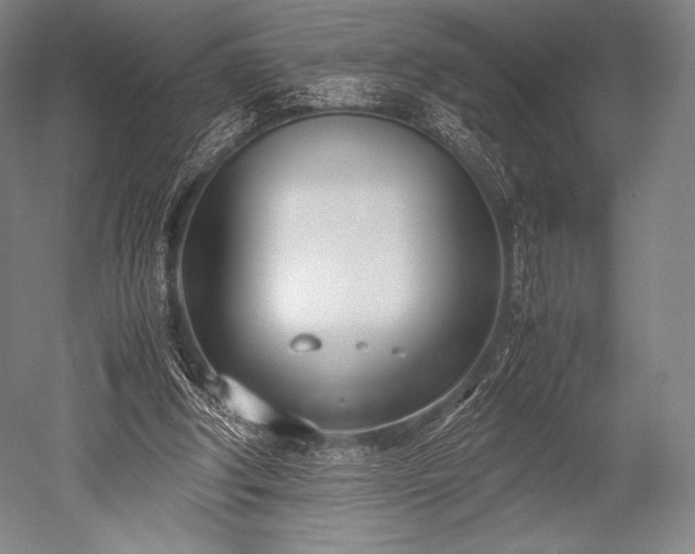 X0000052550202200507081618