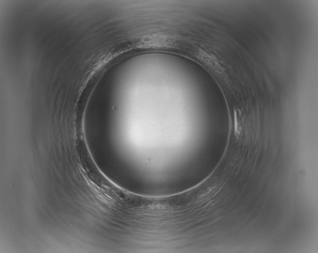 X0000052550204200507081618