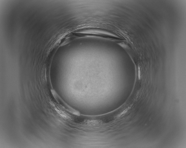 X0000052550205200507081618