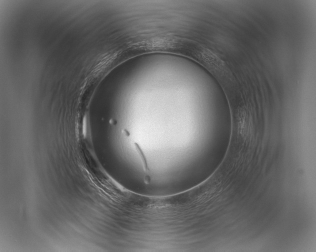 X0000052550206200507081618