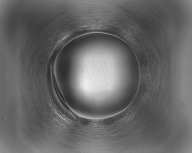 X0000052550207200507081618