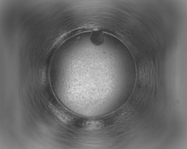 X0000052550208200507081618