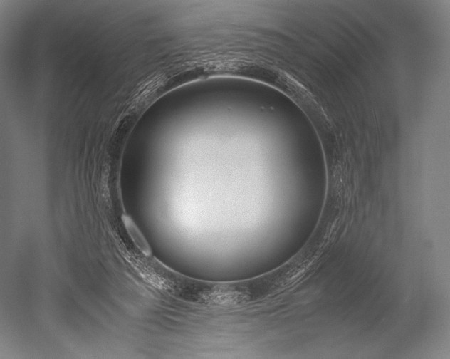 X0000052550209200507081618