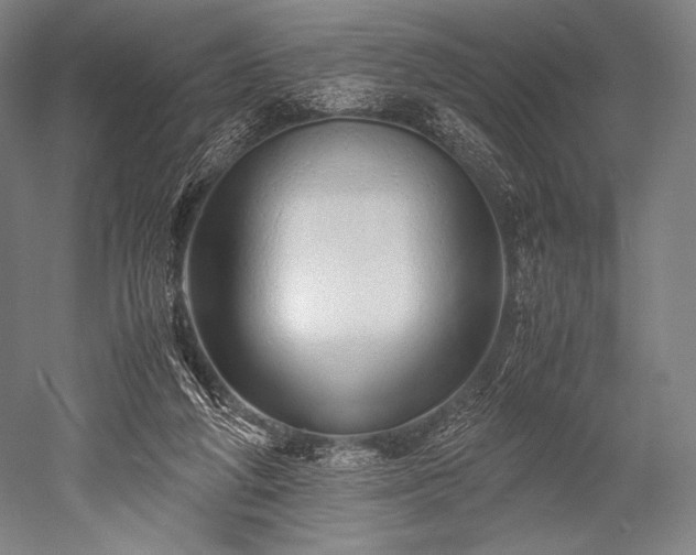 X0000052550210200507081618