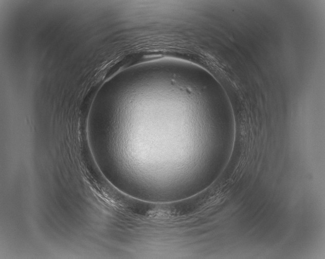 X0000052550211200507081618