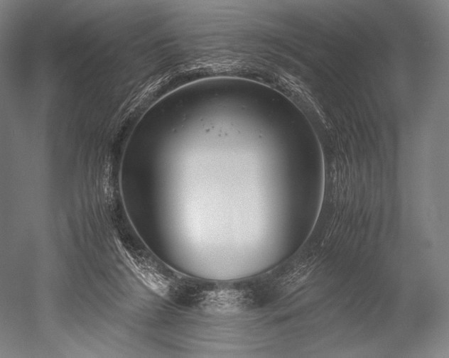 X0000052550212200507081618