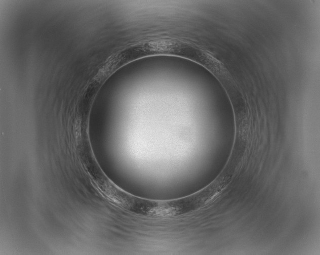 X0000052550213200507081618