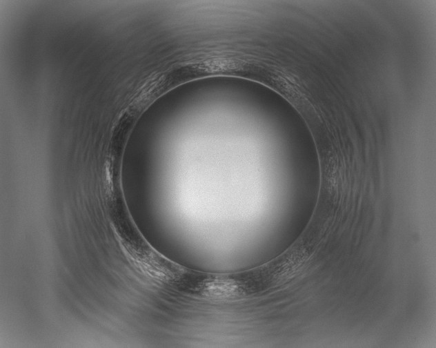 X0000052550214200507081618