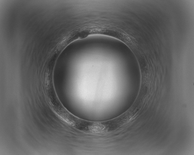 X0000052550215200507081618